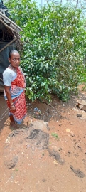 Strong winds, lightning strike damage Sattari local's house