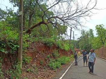 Power lines, crops damaged as heavy rain lashes Sattari