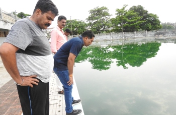 Ray of hope for swimming pools