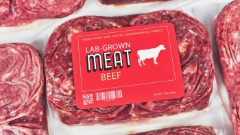 Plant-based patties, lab-grown meat and insects: How the protein industry is innovating to meet demand