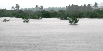 PWD (NH) tells court govt has accepted stilts for Seraulim-Mungul stretch