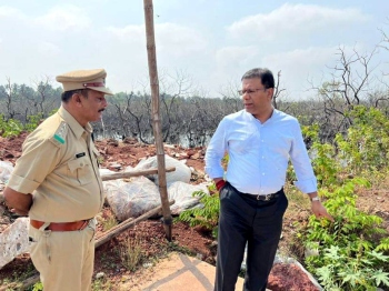 Forest Minister vows action over destroyed mangroves at Merces