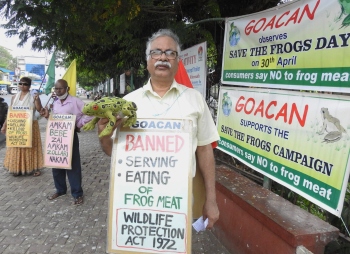 NGO launches save frog drive at Margao