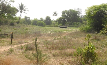 BENAULIM FISHERMEN LAY CLAIM OVER LAND HOUSING PRAWN HATCHERY