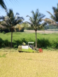 Curtorim farmers rue govt schemes good only on paper, haven’t reached them