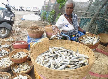 With monsoons ahead, fish vendors brace for big sales
