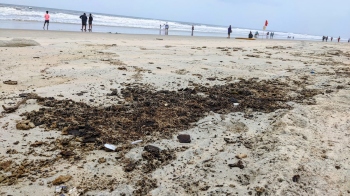 Tarball menace comes to haunt Salcete coastline
