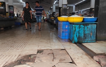 Retail fish market woes: All eyes on SGPDA meet today