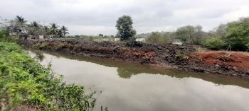 Morombi-O-Grande tenants panel chairman denies cutting mangroves