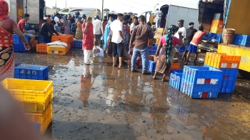 Awful conditions welcome hundreds to State’s lone wholesale fish market