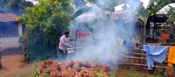 Dengue spreads in Sattari, 43 cases in 5 villages