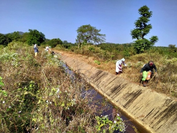 Workers clean Chapoli Dam under MGNREGA scheme