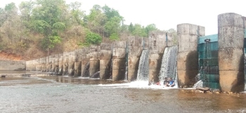 Bandhara ends traditional Puran farming in Sattari