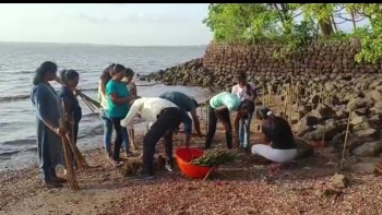 Plans to plant around 1100 mangroves: Fr Bolmax