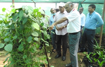 Subsidy to support coconut and mango cultivation soon: Agriculture Minister