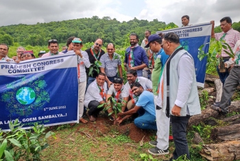 Cong leaders plant 100 saplings in Mollem