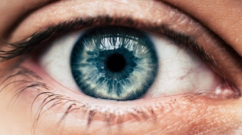 Researchers discover link between food, eye health and lifespan