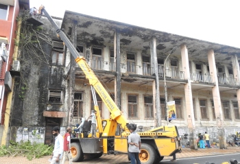 Citizens initiative: Trees on Administrator of Comunidade building cleared