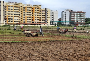 Unmindful of losing their fields, beleaguered farmers from Aquem-Baixo till the land on a positive note