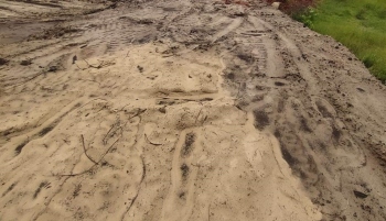 Activist alleges denudation of sand dune for road construction
