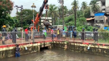 Buffalo rescued from Vaddem Lake