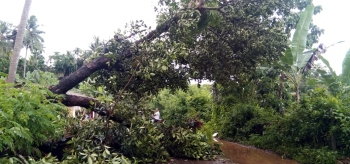 Roads inundated in Sattari taluka