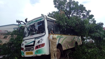 Tree falls on bus at Verna industrial estate, no injuries