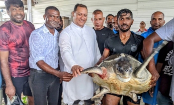 Benaulim fishermen rescue injured turtle