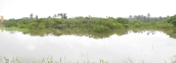 Low-lying Mungul areas go under flood waters