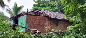 Tree falls on house in Kudne amid heavy rain