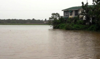 95 hectares of cultivated fields under flood waters in Salcete