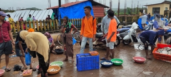 Task at hand for MMC CO to clear Margao wholesale market road of illegal vendors