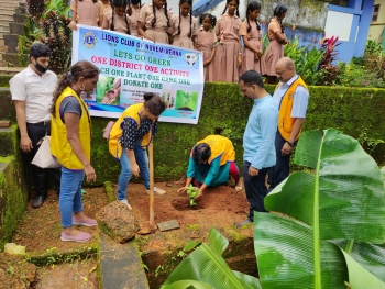 Saplings plantation, distribution programme held