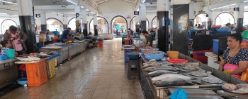 SGPDA fish market runs empty as bustle shifts to Margao’s wholesale market