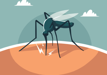 Dengue: Warning signs that your infection is getting bad