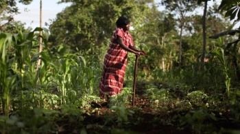 Tapping into indigenous knowledge to protect nature from catastrophes