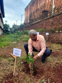 Deforestation taking place at faster pace in some villages: GHRDC MD