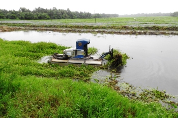 De-weeding of Tolleaband lake commences under Central govt scheme