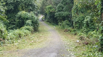 Woman panch clears roads of bushes at her ward in Netravali