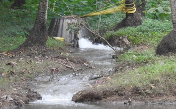 Sewage menace: Agencies initiate action plan, but ground reality still the same