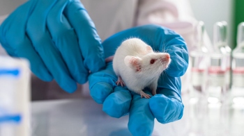How institutional transparency could improve animal research