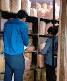 FDA intensifies drive against unhygienic spaces across Goa