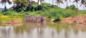 Fisheries Dept begins work on renovation of estuarine fish farm at Ela Dhauji