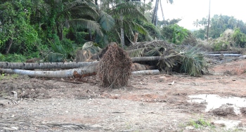 PWD NH gearing up to resume work along Benaulim stretch