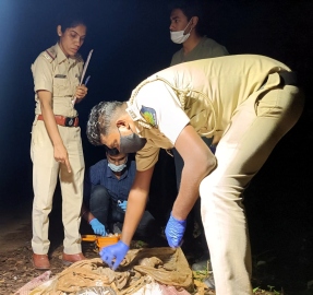 Skeletal remains found at Mangal