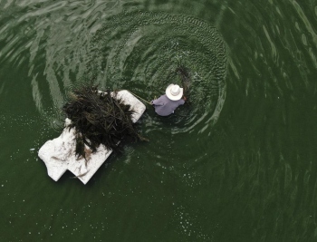 In Mexico, locals try to save traditional ‘Mexican caviar’