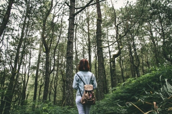 Does travel offer a survival advantage to life?