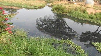 Sewage continues to flow into Sal, but why are there no takers for sewerage network?