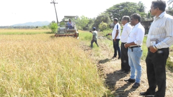 SAXTTI FARMERS SEEK HIKE IN SUPPORT PRICE