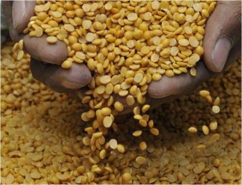 Tur Dal scam: Confidential inquiry reveals irregularity by Civil Supplies dept officers